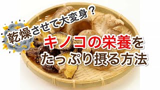 キノコの栄養をたっぷり摂る方法