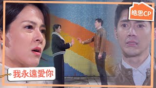 【皓思CP】永別了！謝謝你愛我