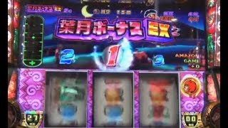 パチスロ 緑ドン VIVA2 葉月ボーナス 激アツ 葉月ボーナスEX昇格 レーダー保留上乗せ アマゾンゲーム上乗せ