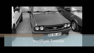 Modifiyeli toroslar (2018)