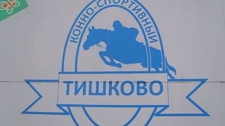 Наша конюшня?