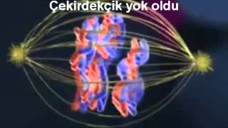 Yalvaç Fen Lisesi-Mayoz Şarkısı