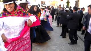 PALLA VITISINA 2017