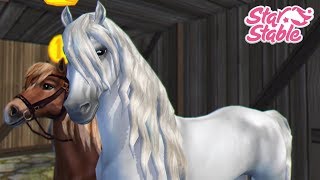Star Stable | ♡ Покупаем фриза [Стрим] ♡ ~