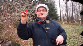 САНАТОРИЙ "ОКА" ОЗЕРСКИЙ РАЙОН. ПОДМОСКОВЬЕ.РАЙ ДЛЯ ОТДЫХА