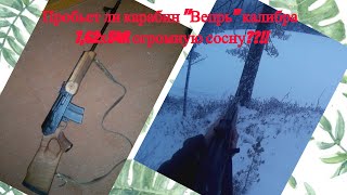 Карабин "Вепрь" Пробьет ли огромную сосну??? Можно ли спрятаться от пули за деревом?