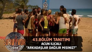 Ödülü gören yarışmacılar çılgına döndü! | 43. Bölüm Tanıtımı | Survivor 2018