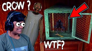 DADI JI NE "CROW" Paal Liya ! (Granny New Update 2019)