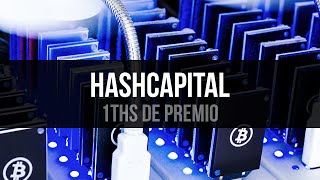 Ayuda para concurso HashCapital pemio de 1THs