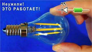 Не вздумай выбросить разбитую лампочку! Секрет Филаментов лампочки в её нити.