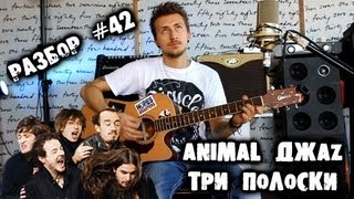 show MONICA Разбор #42 - Animal ДжаZ - Три полоски (Как играть, урок)