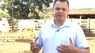 Fazenda Sao Roque MPEG 4