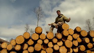 ЛЮДИ ЛЕСА