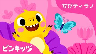 ちびティラノ | I’m a Baby T Rex 日本語版 | 恐竜のうた | サメの家族リズムの歌 | ピンキッツ童謡