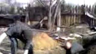 жесть. Вскрытие могил