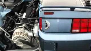 2006 FORD MUSTANG Hempstead, NY U8666