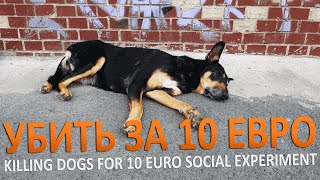 УБИТЬ СОБАКУ ЗА 10 ЕВРО | KILLING DOG`S FOR 10 EURO - SOCIAL EXPERIMENT