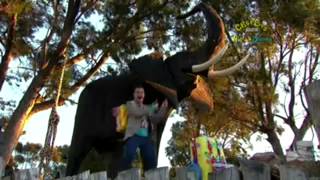 Mister Maker Around the World S01E22 WEB 360p H264 AAC PL Jowish BTV