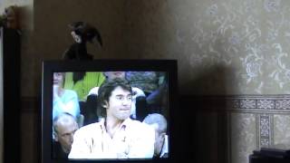 Let them talk TV program 1 THE ALEKSEYEVS