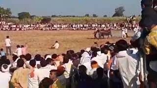 राजा नांदेड  & birju aurangabad