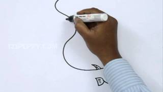 How to Draw an Electric Eel