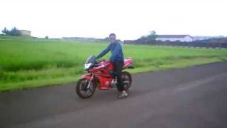 CBF Stunner Highly Modified