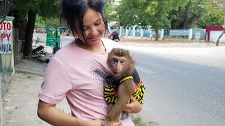 Monkey Baby Nui | Nui protects Mom very cute