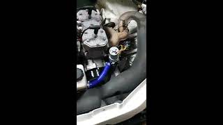 Подключения электро питания помпы.... Снегоход Тайга Патруль 551 SWT...