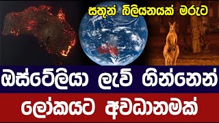 ඔස්ට්‍රේලියාවේ බිහිසුණු ගින්නෙන් ලෝකයම අවදානමේ
