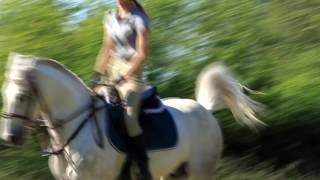 ♦ Pepe The Pony, 11.06.16 ♦
