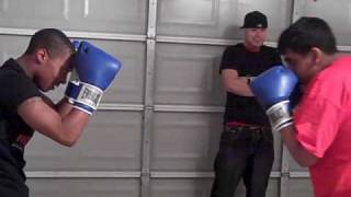 eddy vs ippo