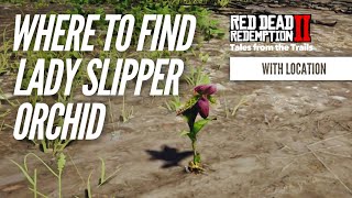 Red Dead Redemption 2: Where to find Lady Slipper Orchids | Multiple Locations
