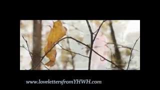 Sackcloth&Ashes BEGOTTEN ANEW by the HOLY SPIRIT NOT MORE than 12DAYS(Pt2)