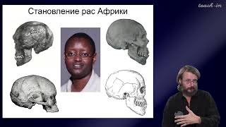 Дробышевский С.В. - Антропология - 9. Человеческие расы. Африка