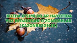 Kuzda O'simliklar Hayotida Yuz Beradigan O'zgarishlar (XAZONREZGILIK).