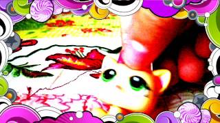 Lps "Accidentally in Love (From "Shrek 2")" Fan Video