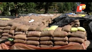 Paddy Procurement Woes - Why Odisha Is Not Acting Tough Against Rice Millers