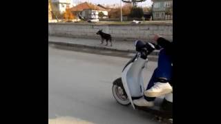 Elektrikli bisiklet konvoy