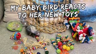 My Baby Bird Reacts To Her New Toys | Vlog #239