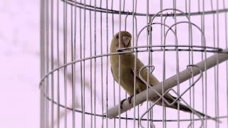 "Where do u come from, What r u doing, Where r u going" Trailer Version_03