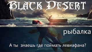 Black desert рыбалка