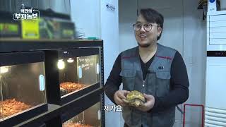 역전의 부자농부 70회 - 희귀반려동물