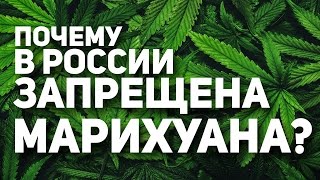 Почему Марихуана запрещена в России?