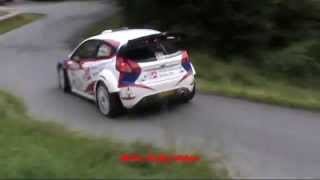 Ford Fiesta WRC Tribute