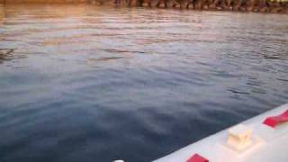 山口大島でのアジ釣り　その１