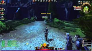 Neverwinter online "Компаньоны от Бога" 1.1