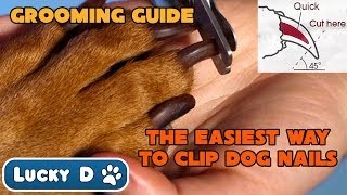 Easiest Way To Clip Dog Nails