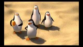 Los pinguinos de Madagascar las matamos para comernos su higado