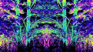 Imaginary Sight - Muu