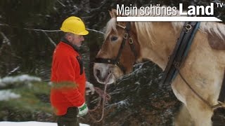 Jahresbeginn im Osnabrücker Land - die schönsten Höfe Norddeutschlands (NDR)